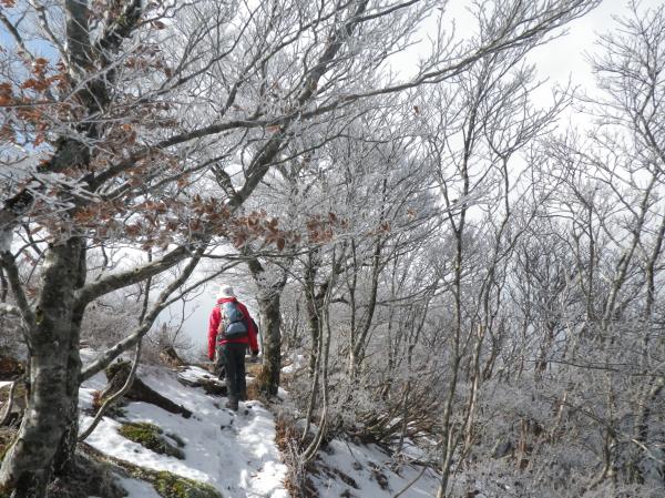 思いがけないプレゼントだった美しい樹氷。やっぱり山はいい！